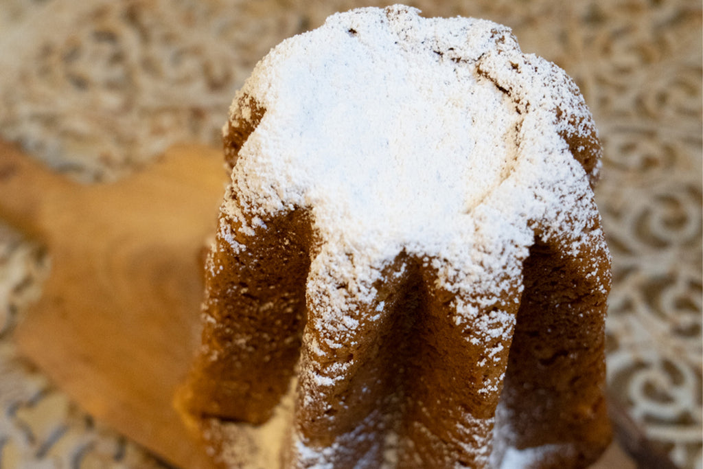 ER Pasticceria Gluten Free Pandoro Classico senza glutine e senza lattosio