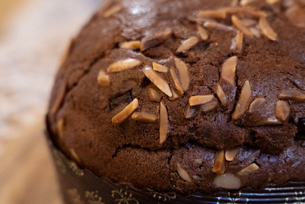 ER Pasticceria Gluten Free Panettone con Albicocche Pellecchiella senza glutine e senza lattosio
