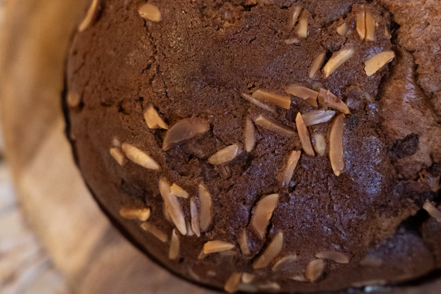 Panettone con Albicocche Pellecchiella senza glutine e senza lattosio ER Pasticceria Gluten Free